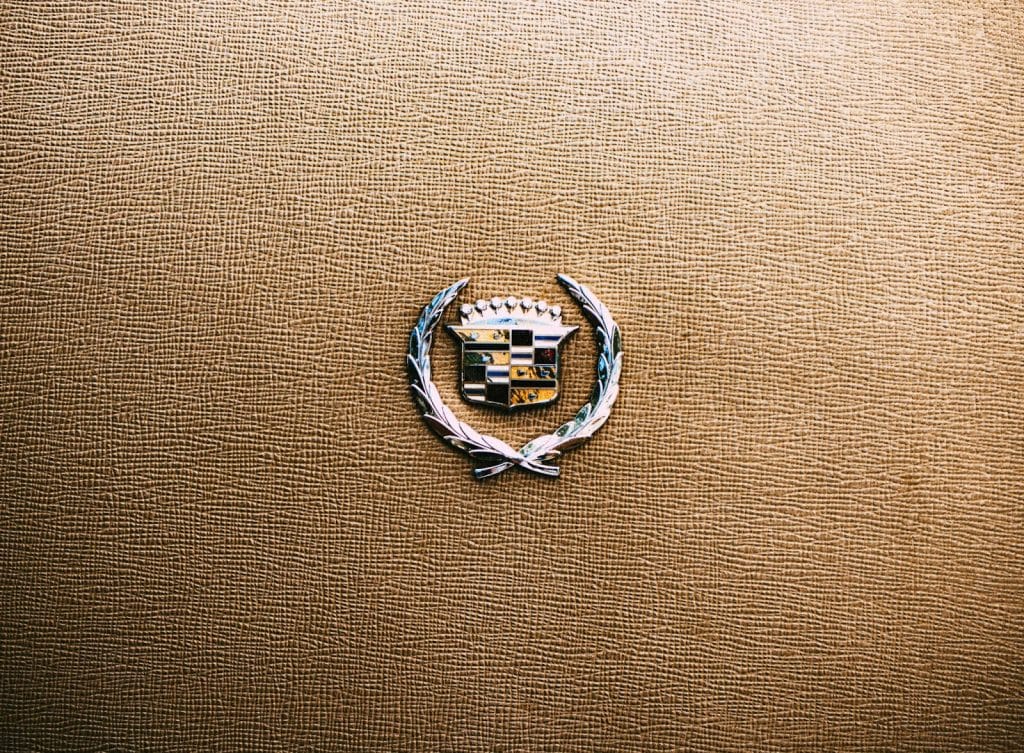 A picture of lapel pin